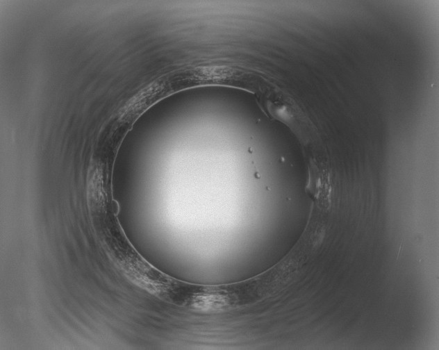 X0000086000220200703231153