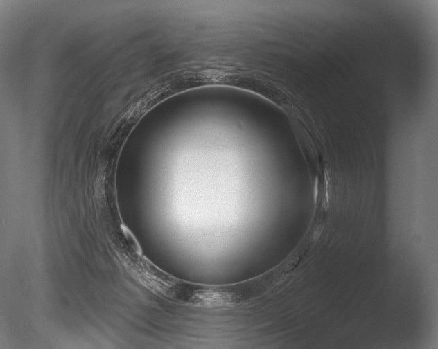 X0000086000221200703231153