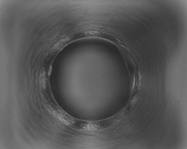 X0000086000223200703231153