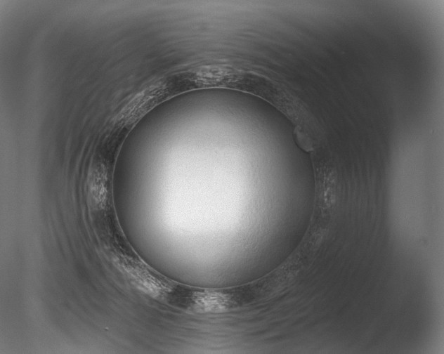 X0000086000226200703231153