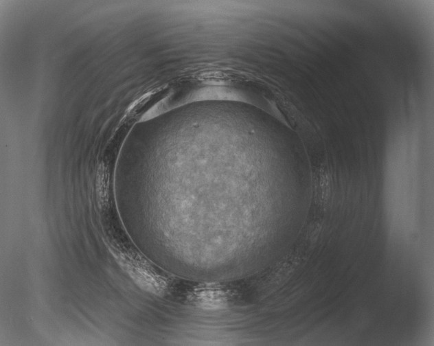 X0000086000228200703231153