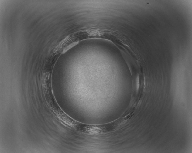 X0000086000229200703231153