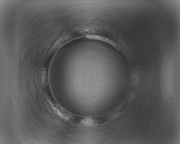 X0000086000231200703231153