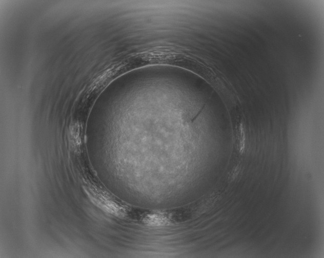 X0000086000232200703231153