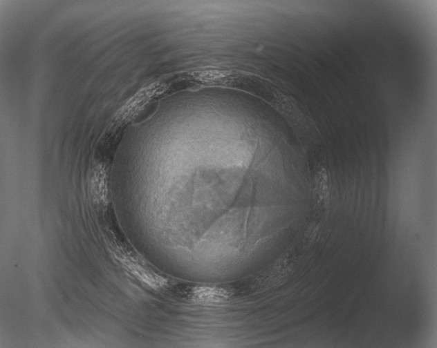 X0000086000234200703231153