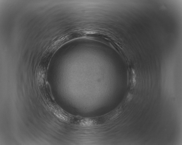 X0000086000235200703231153