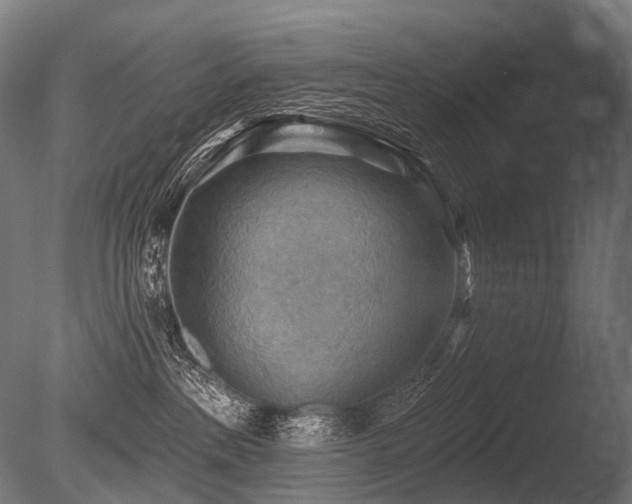 X0000086000237200703231153