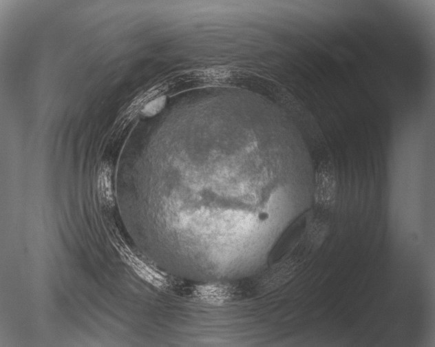 X0000086000238200703231153