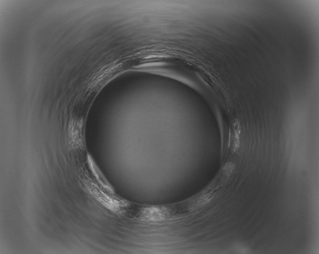 X0000086000239200703231153