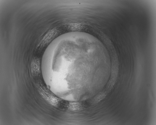 X0000086000240200703231153