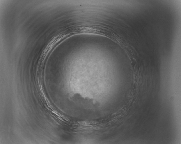 X0000086000241200703231152