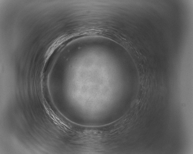 X0000086000242200703231152