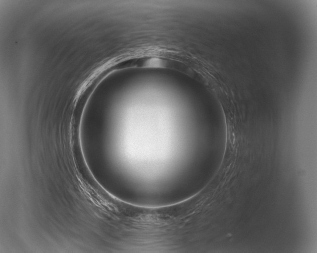 X0000086000244200703231152