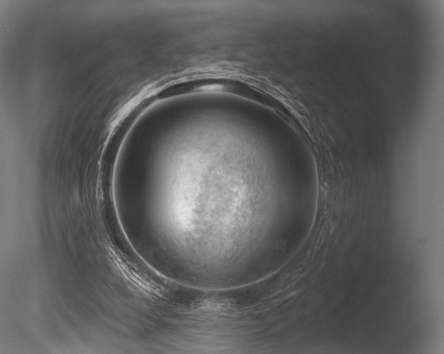 X0000086000248200703231152