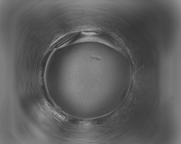 X0000086000249200703231152