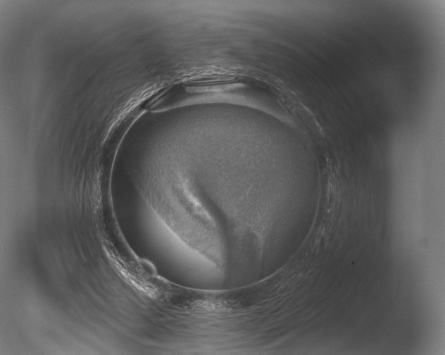 X0000086000250200703231152