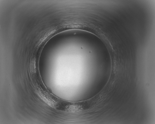 X0000086000251200703231152