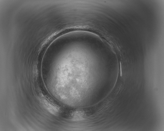 X0000086000252200703231153