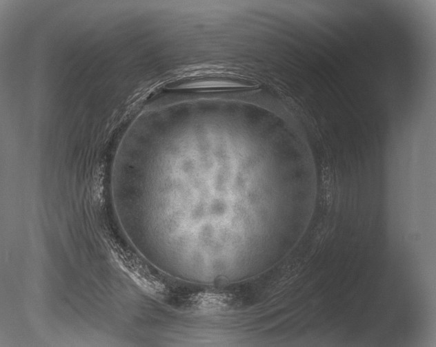 X0000086000255200703231153