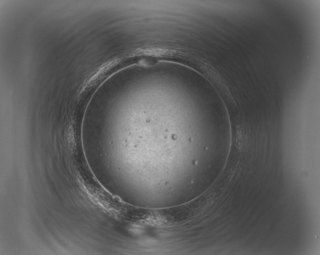 X0000086000256200703231153