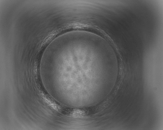 X0000086000257200703231153