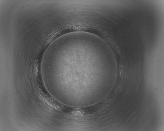 X0000086000259200703231153