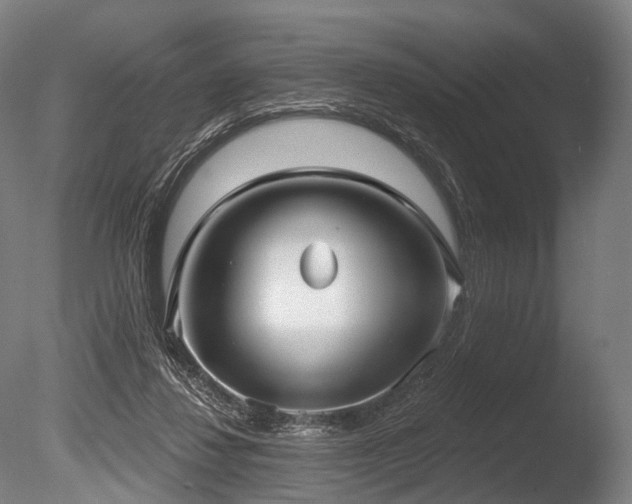 X0000086000260200703231153