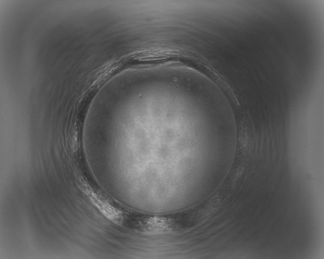 X0000086000261200703231153