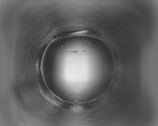 X0000086000262200703231153