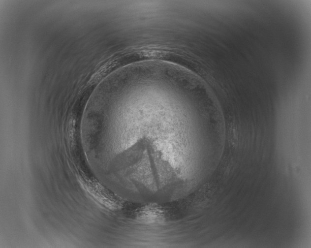 X0000086000263200703231153