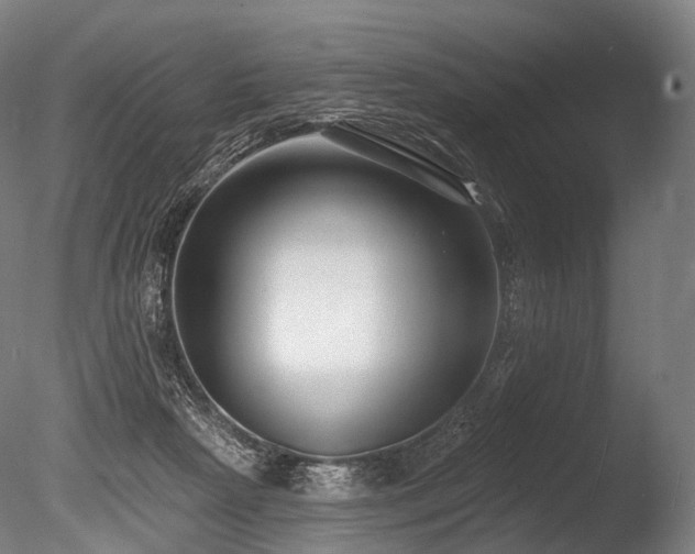 X0000086000265200703231153