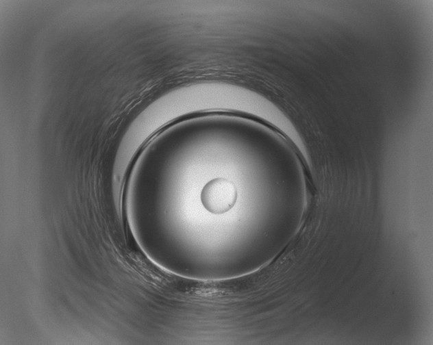 X0000086000268200703231153