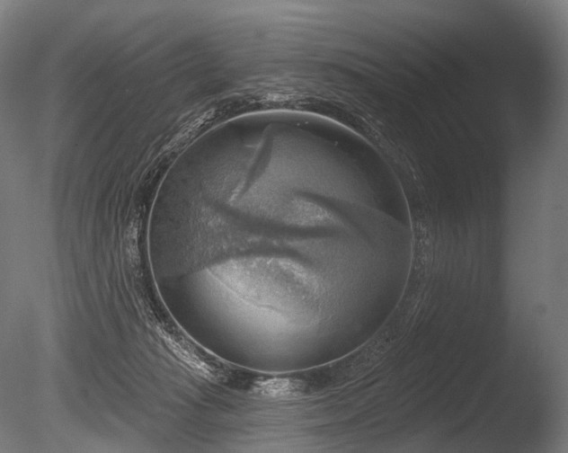 X0000086000269200703231153