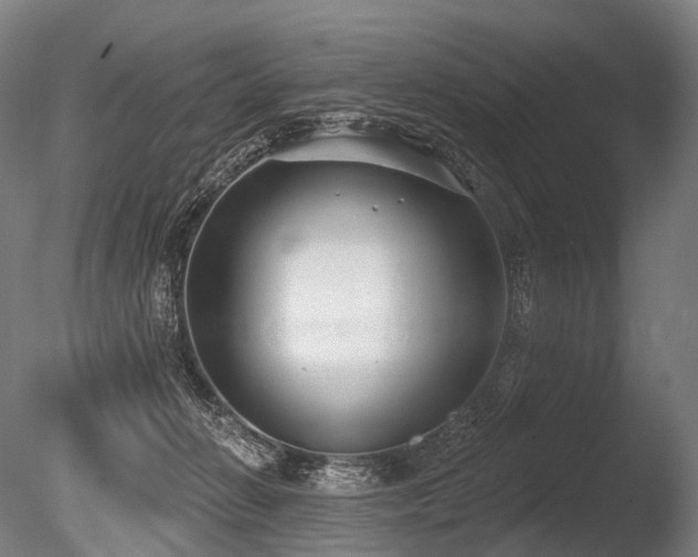 X0000086000270200703231153