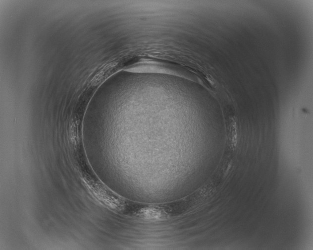 X0000086000272200703231153