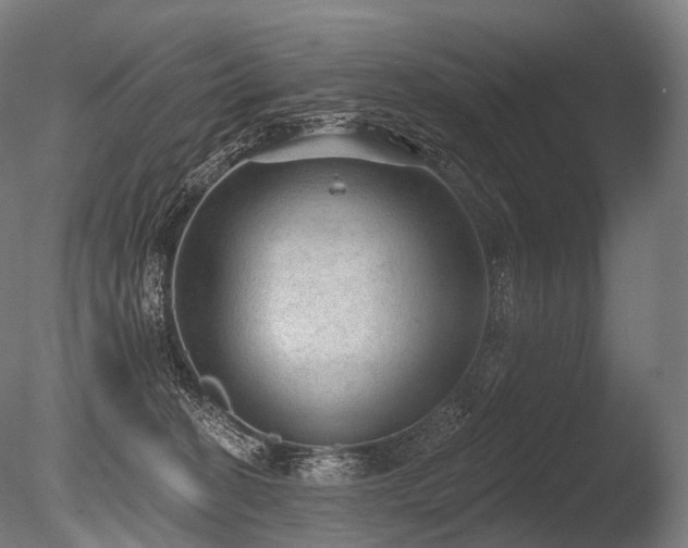 X0000086000274200703231153