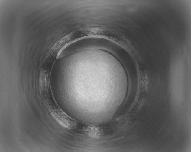 X0000086000276200703231153