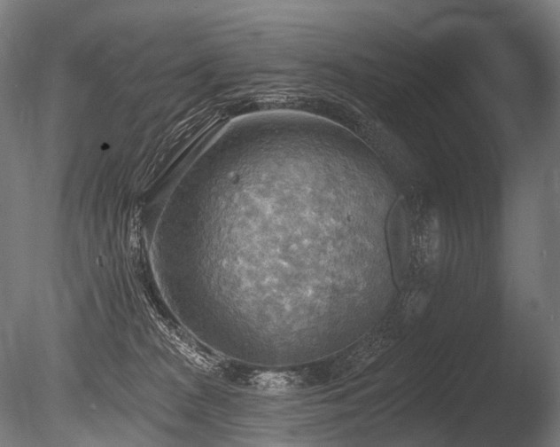 X0000086000277200703231153