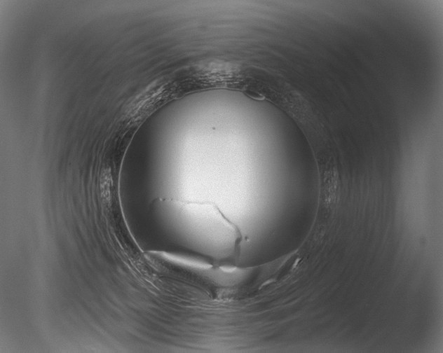 X0000086000279200703231153