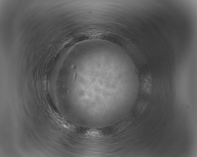 X0000086000283200703231153