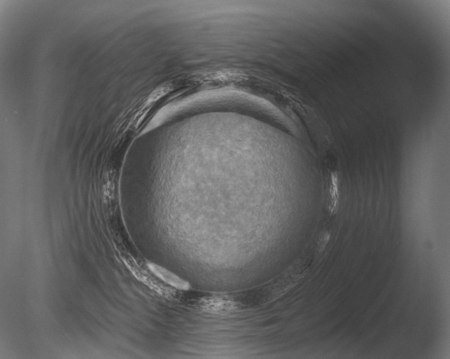 X0000086000284200703231153