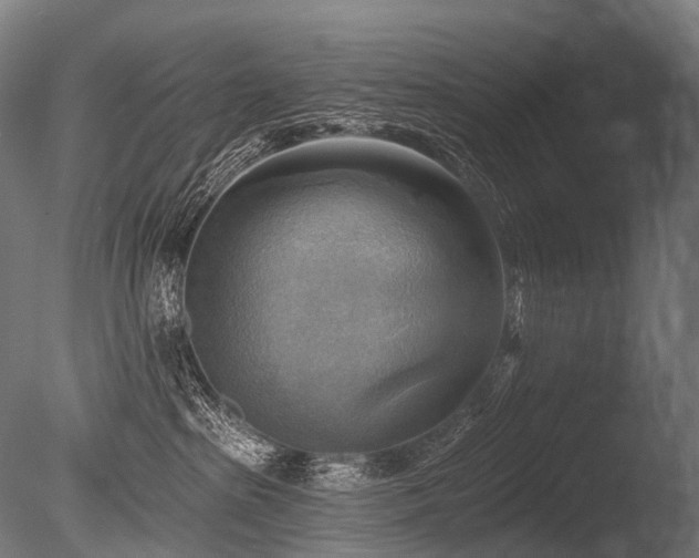 X0000086000285200703231153