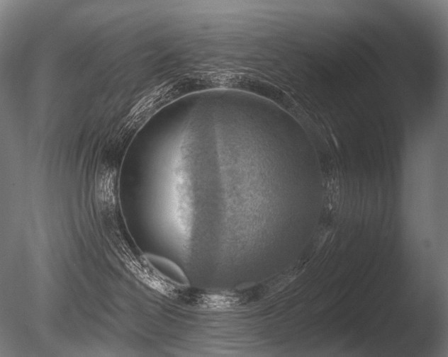 X0000086000286200703231153