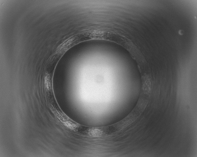 X0000086000287200703231153