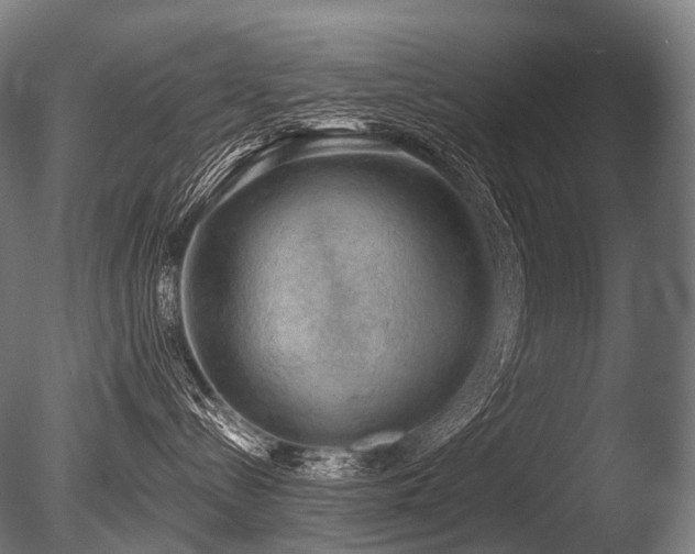 X0000086000288200703231153