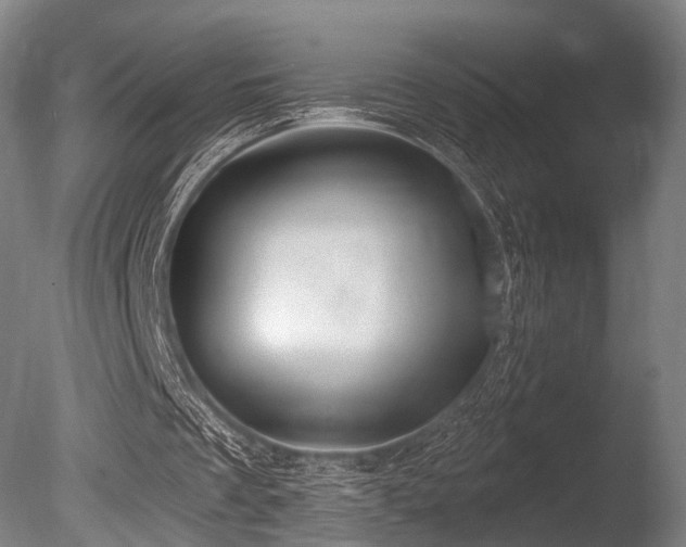 X0000086000289200703231152