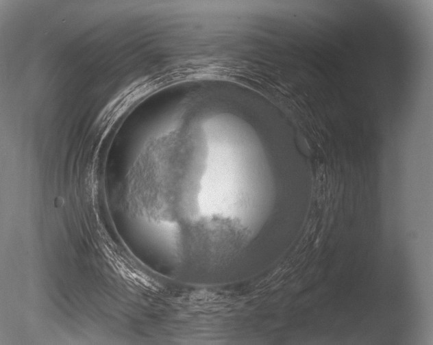 X0000086000290200703231152