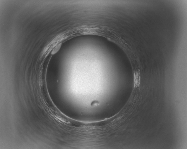 X0000086000291200703231152