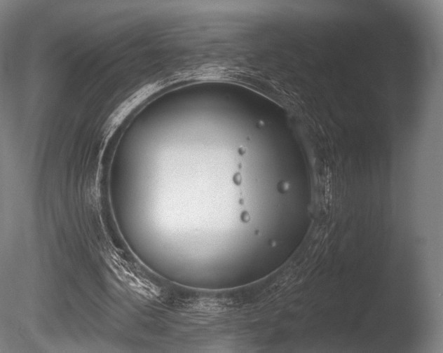 X0000086000292200703231152