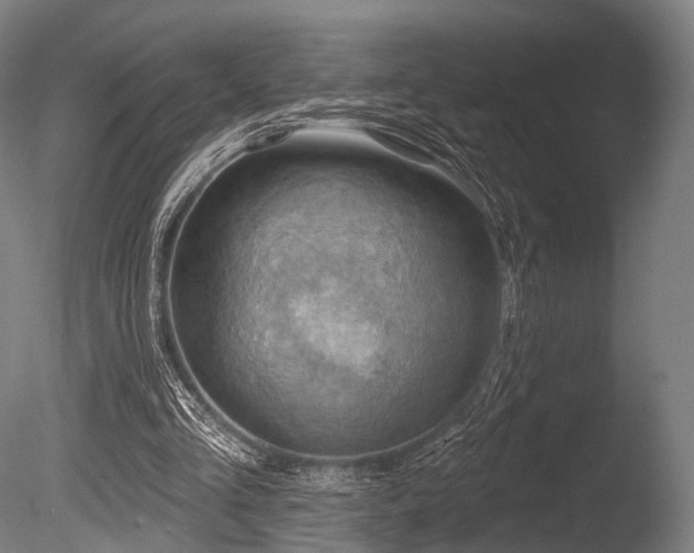 X0000086000293200703231152